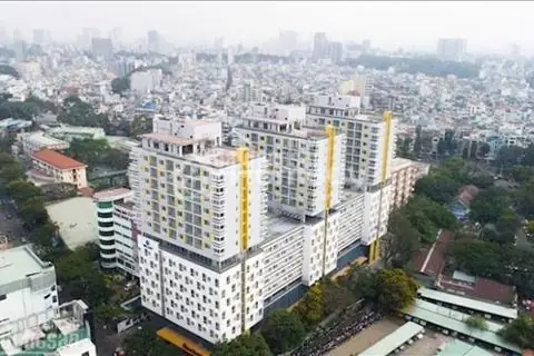 Top 10+ Kinh Nghiệm Vàng Khi Thuê Chung Cư 1 Phòng Ngủ Bạn Cần Biết