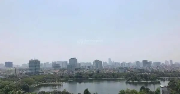 Đánh Giá Chi Tiết: Có Nên Thuê Chung Cư Hoa Lư Không? Top 3 Dự Án Đáng Quan Tâm Nhất