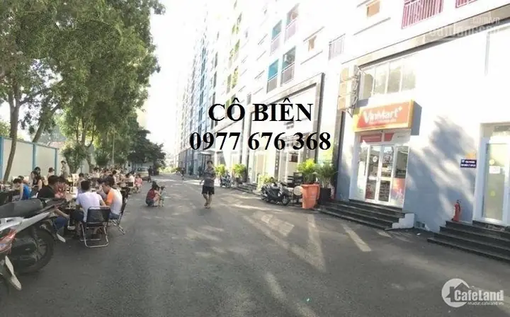 Đánh Giá Chi Tiết Thị Trường Thuê Chung Cư Mini Tại Khu Vực Trường Chinh: Top 5 Lựa Chọn Tối Ưu 2026