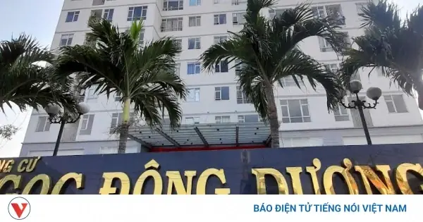 Đánh Giá Chi Tiết Dịch Vụ Thuê Chung Cư Ngọc Đông Dương: Có Thực Sự Đáng Tiền?