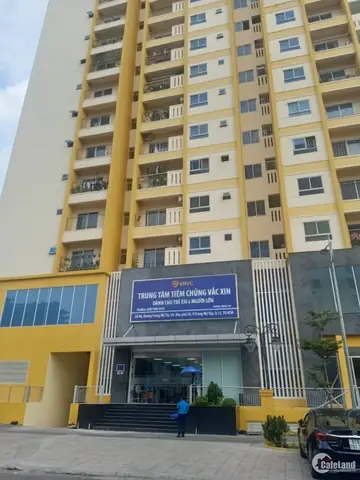 Top 10+ Căn Hộ Chung Cư Cho Thuê Gần Quân Khu 7: Đánh Giá Chi Tiết Giá, Vị Trí & Tiện Ích