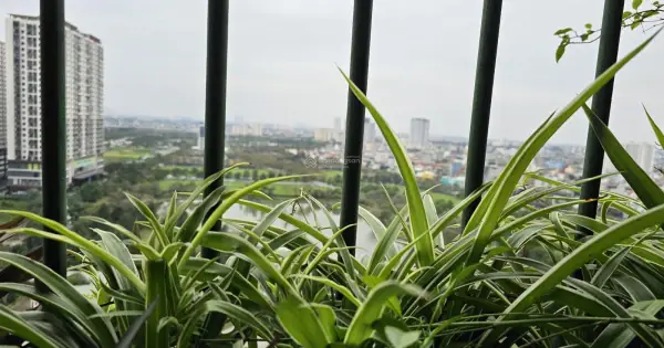 Top 15+ Căn Hộ Chung Cư Xuân Đỉnh Cho Thuê Giá Rẻ, Đầy Đủ Nội Thất (2026)