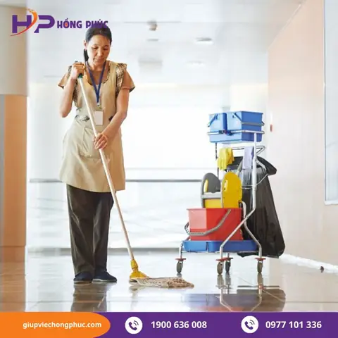 Đánh Giá Top 7 Cách Tìm Việc Làm Dọn Dẹp Chung Cư Hiệu Quả Nhất 2026
