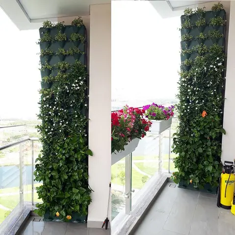 Trồng Cây Trong Nhà Chung Cư: Giải Pháp Xanh Cho Không Gian Sống Thượng Lưu